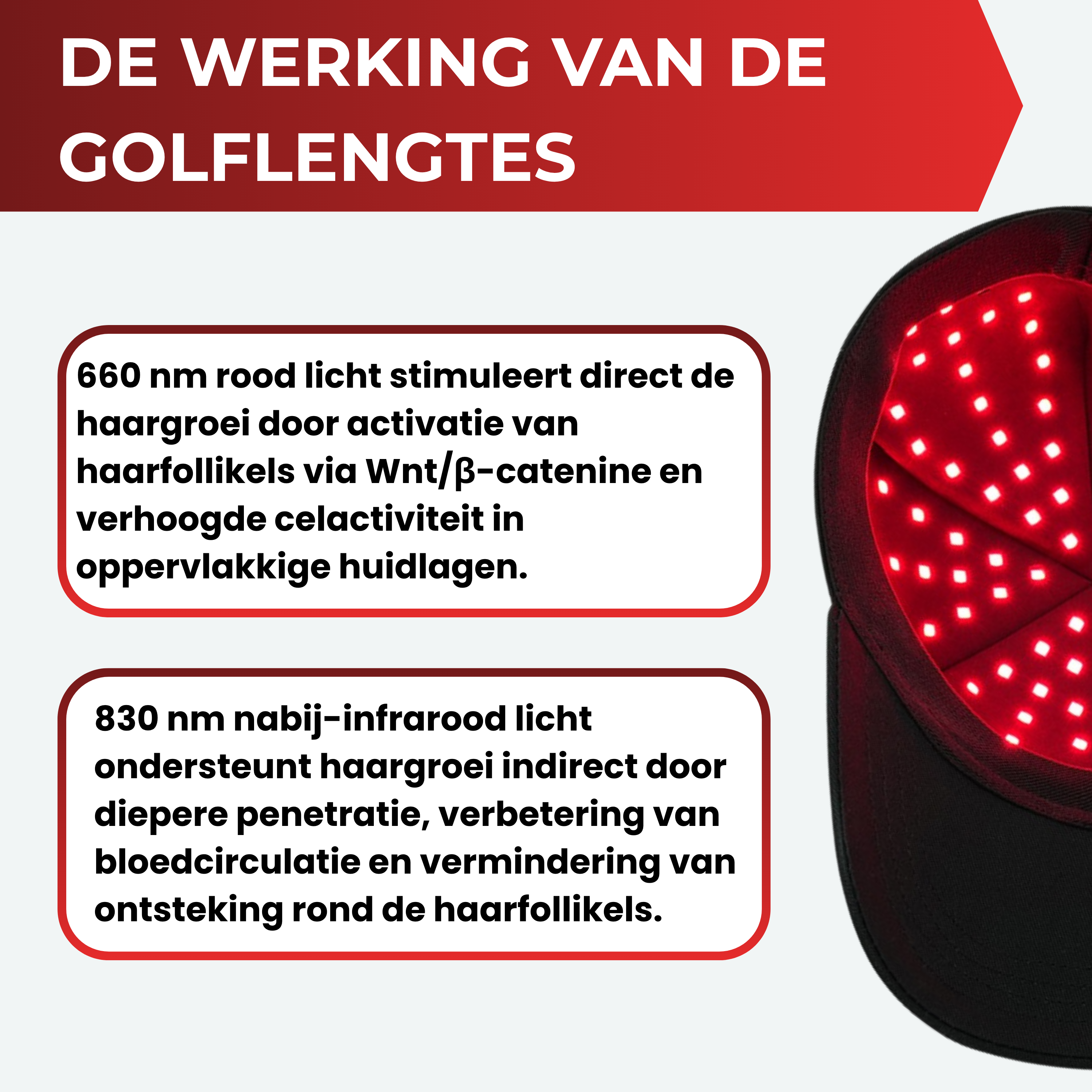 Vitalwave Rood Licht Therapie Pet